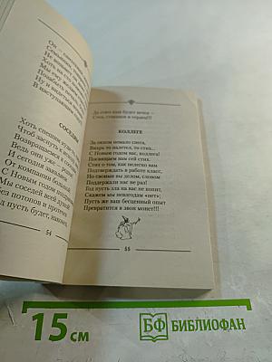 Встречаем Новый год. Тосты и поздравления в стихах