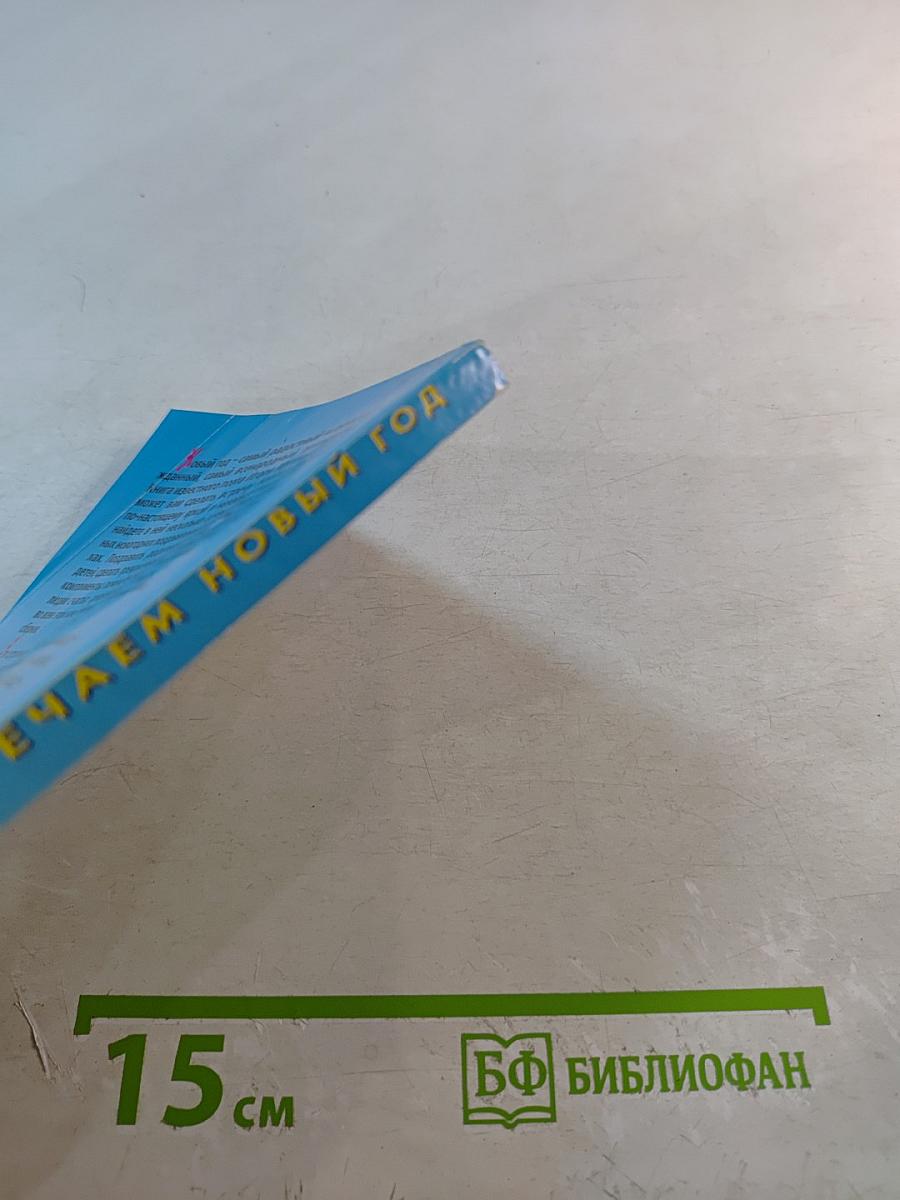 Встречаем Новый год. Тосты и поздравления в стихах