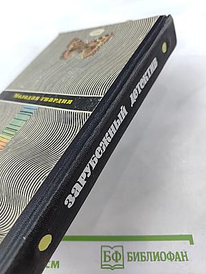 Зарубежный детектив