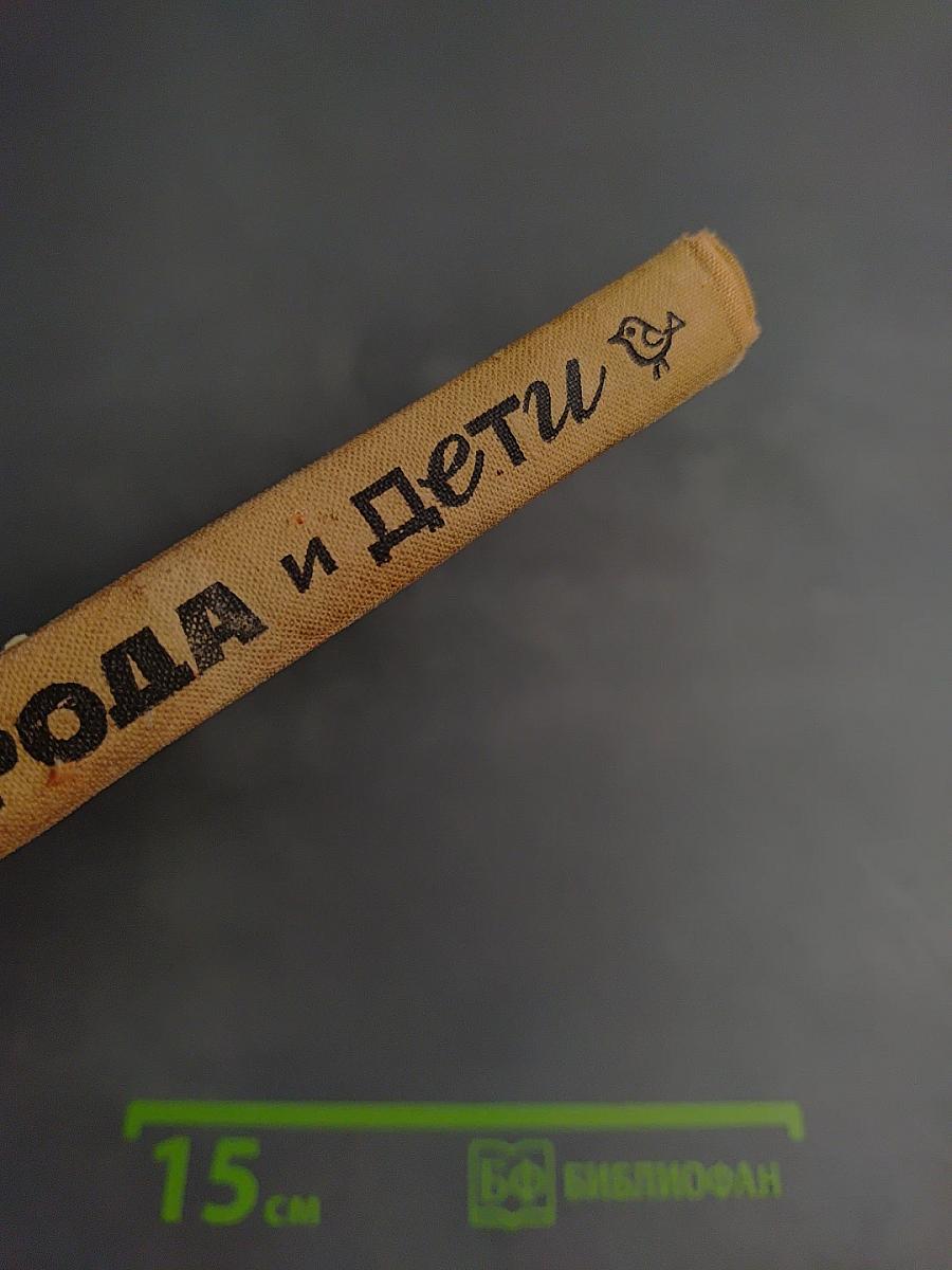 Города и дети