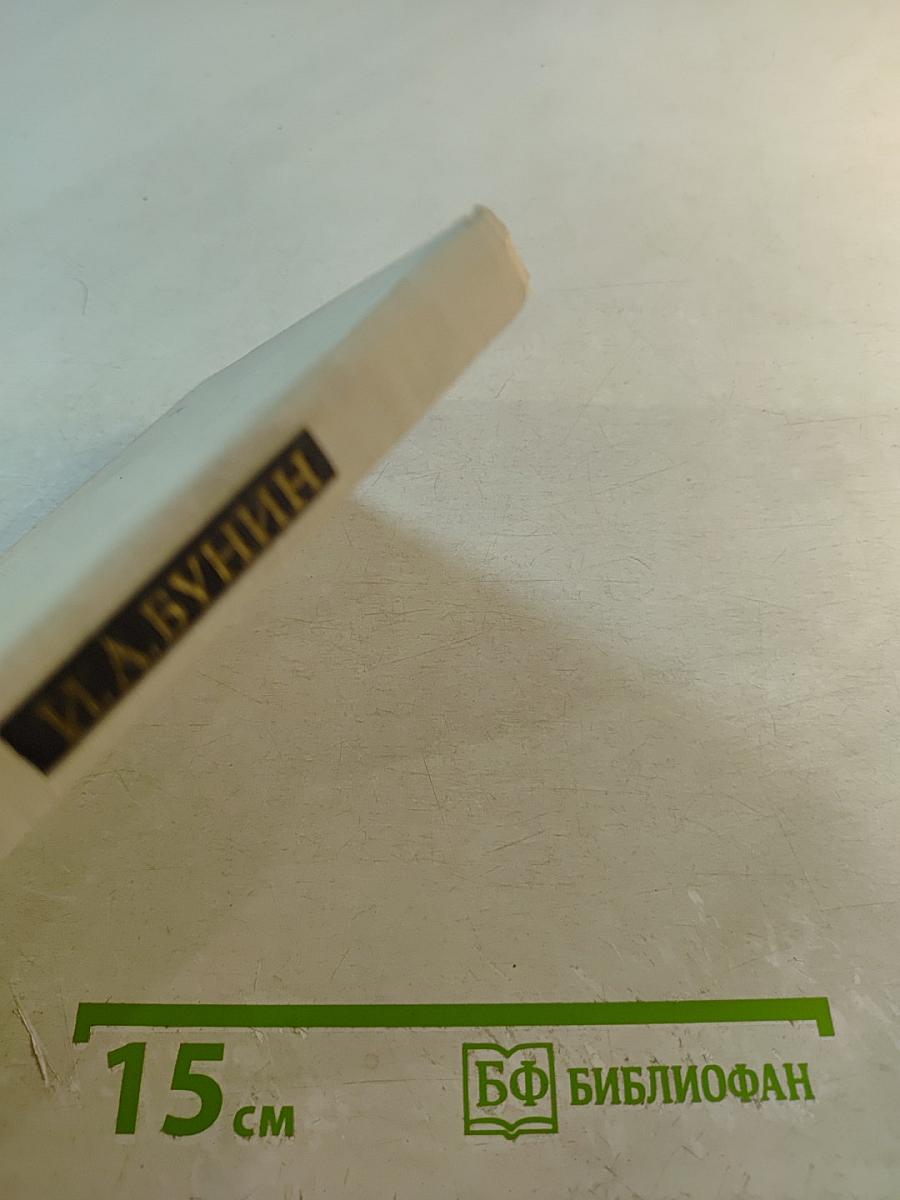 Свет незакатный