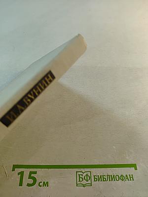 Свет незакатный