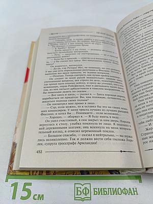 Ричард Длинные Руки — лорд-протектор