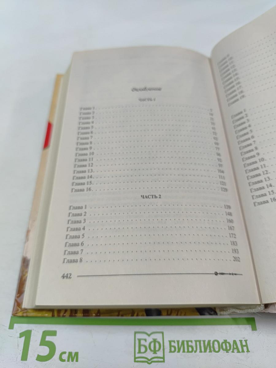 Ричард Длинные Руки — лорд-протектор