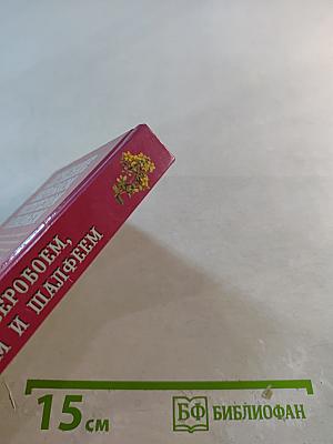 Лечение зверобоем, чистотелом и шалфеем