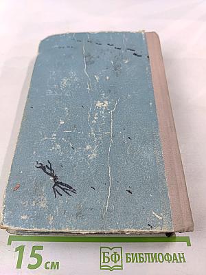 Поиски счастья