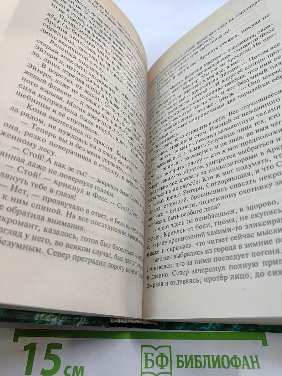 Хранитель Мечей. Книга третья. Одиночество Мага. Том второй