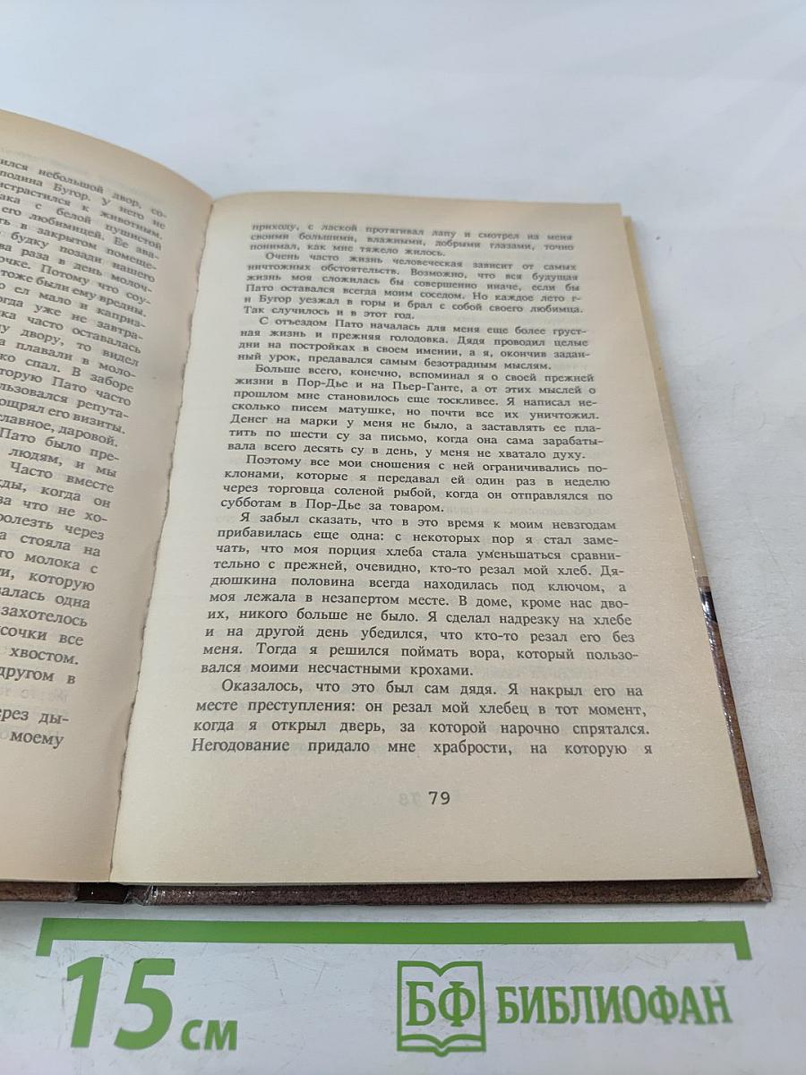 Приключения Ромена Кальбри