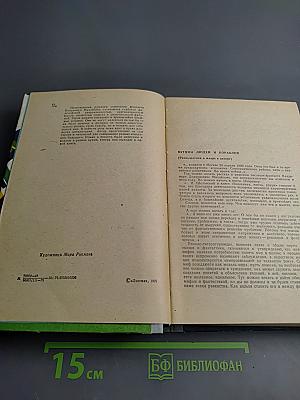 Дверь с той стороны