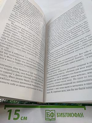 Хранитель Мечей. Книга вторая. Странствия Мага. Том первый