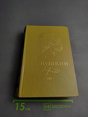Собрание сочинений в трех томах. Том III. Евгений Онегин. Романы и повести. Путешествие в Арзрум