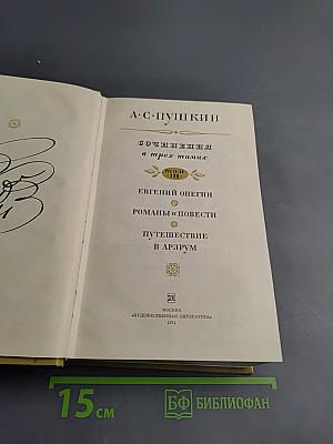 Собрание сочинений в трех томах. Том III. Евгений Онегин. Романы и повести. Путешествие в Арзрум