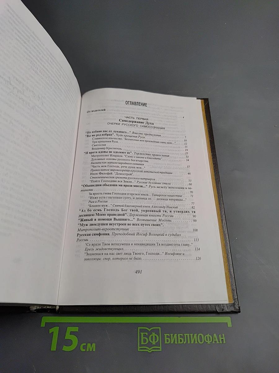 Русская симфония. Очерки русской историософии