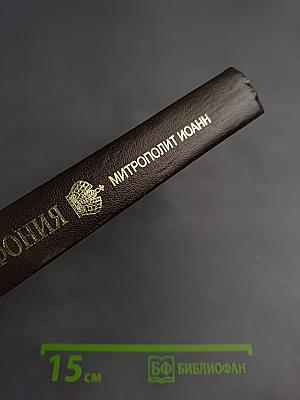 Русская симфония. Очерки русской историософии