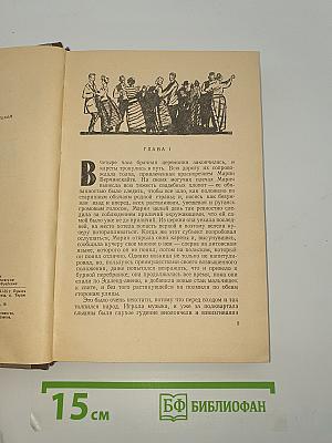 Джунгли