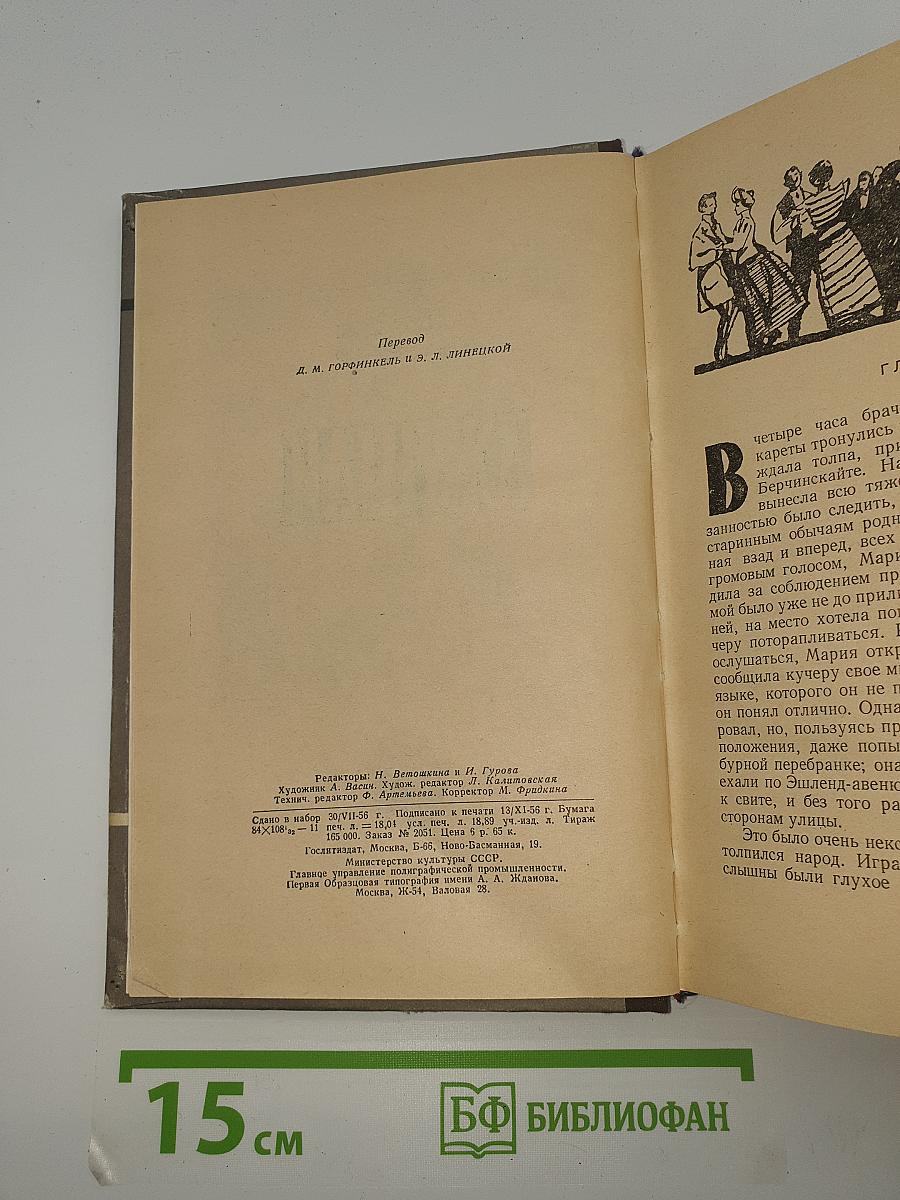Джунгли