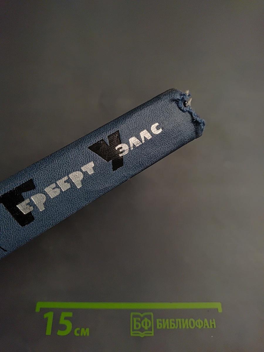 Собрание сочинений в пятнадцати томах. Том 11: Сон; Мистер Сперчер на острове Рэмпол