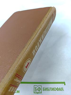 Поджигатели