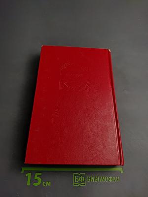 Тайна мага. Наследник Робинзона