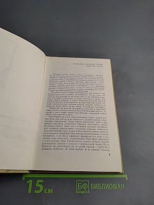 Оранжевое солнце