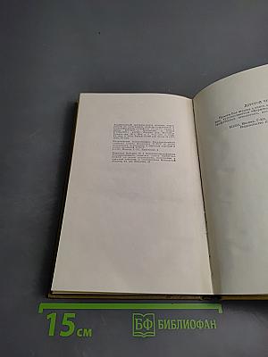 Оранжевое солнце