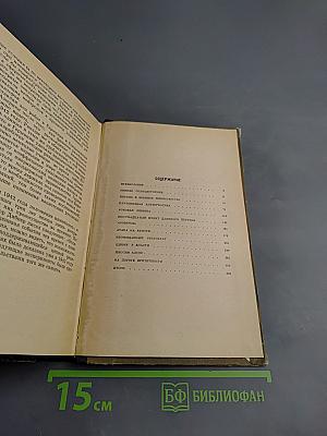 Вирусный флигель