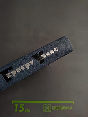 Собрание сочинений в 15 томах. Том 4: Чудесное посещение