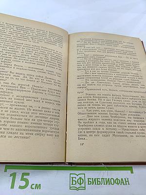 Поджигатели. Книга вторая