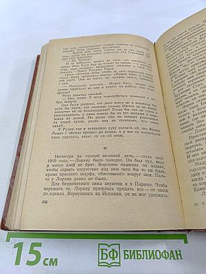 Поджигатели. Книга вторая