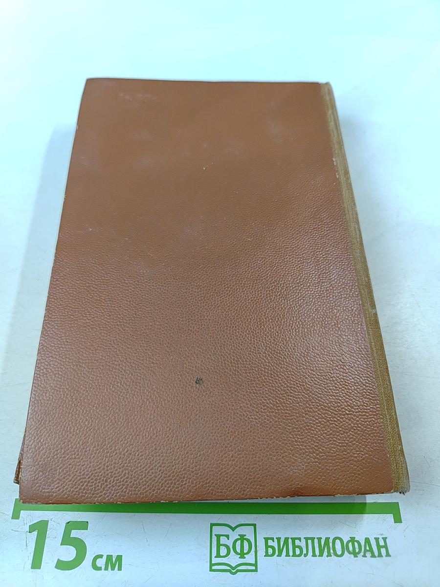 Поджигатели. Книга вторая