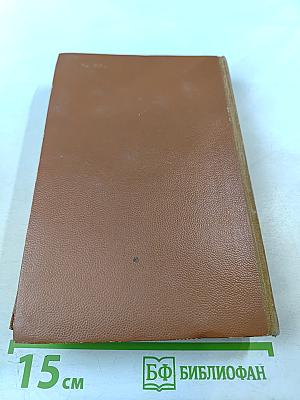 Поджигатели. Книга вторая
