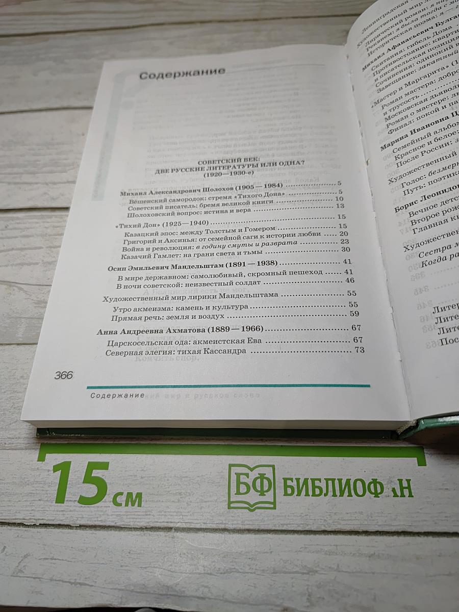 Литература. Учебник для 11 класса. Часть 2