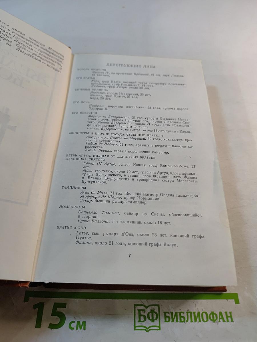 Железный король. Узница Шато-Гайара