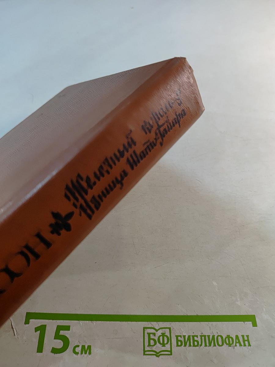 Железный король. Узница Шато-Гайара