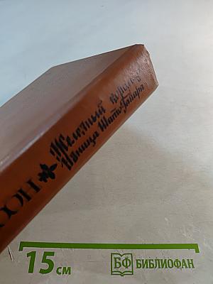 Железный король. Узница Шато-Гайара