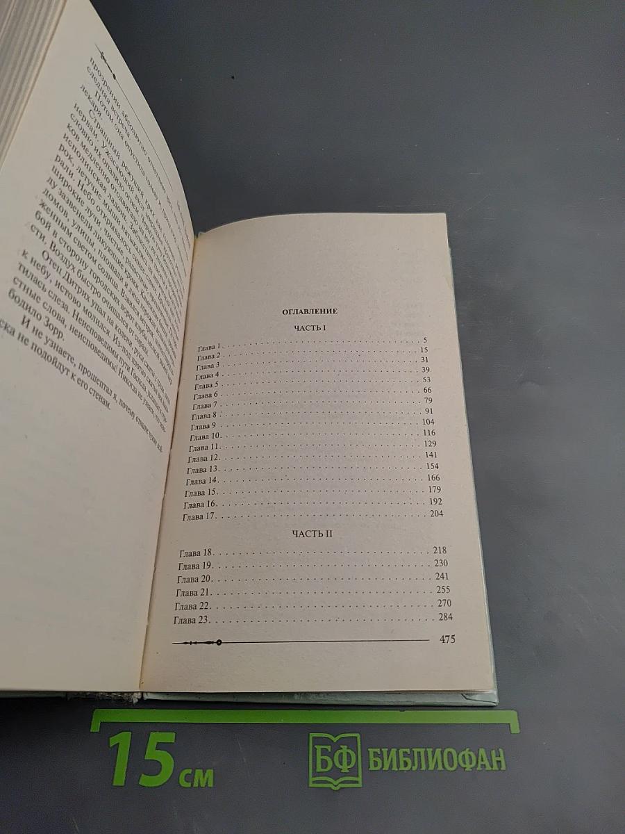 Ричард Длинные Руки - Паладин Господа