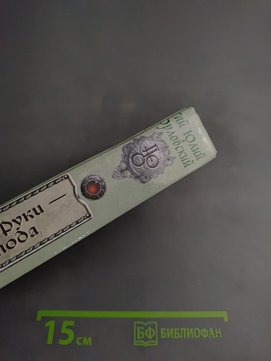 Ричард Длинные Руки - Паладин Господа