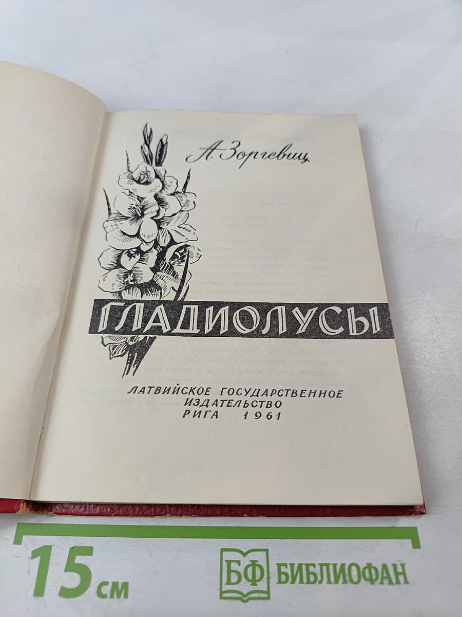 Гладиолусы