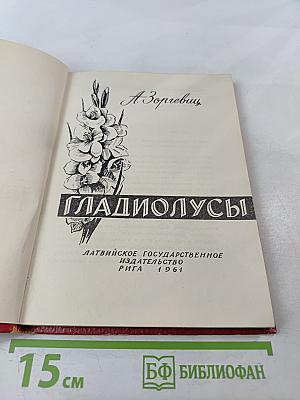 Гладиолусы