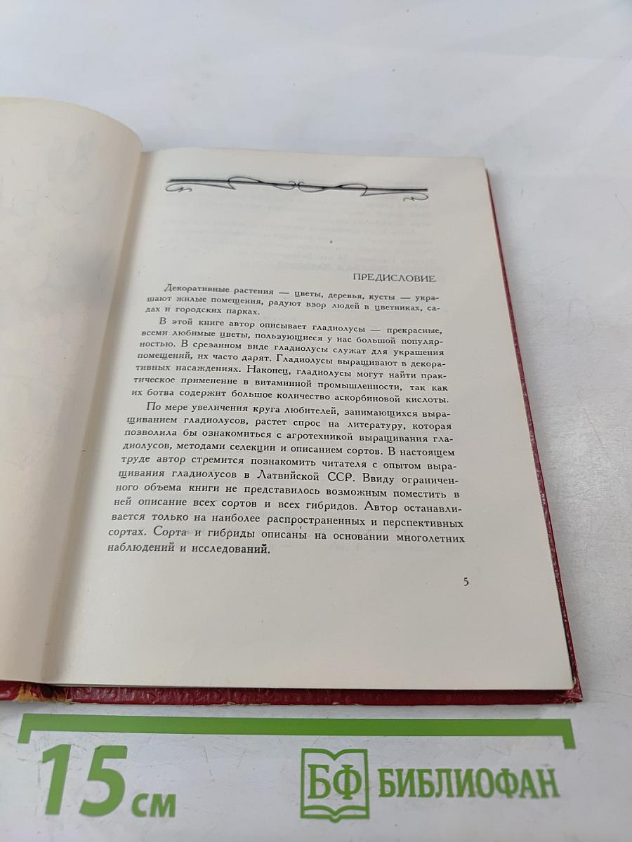 Гладиолусы