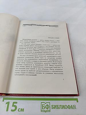 Гладиолусы