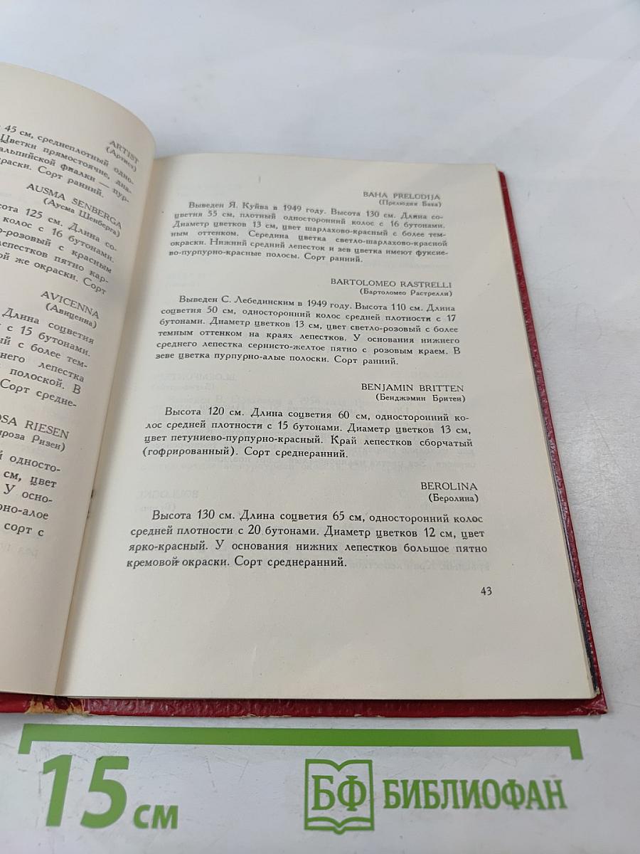 Гладиолусы