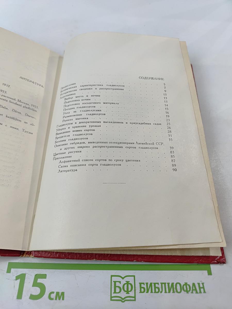 Гладиолусы