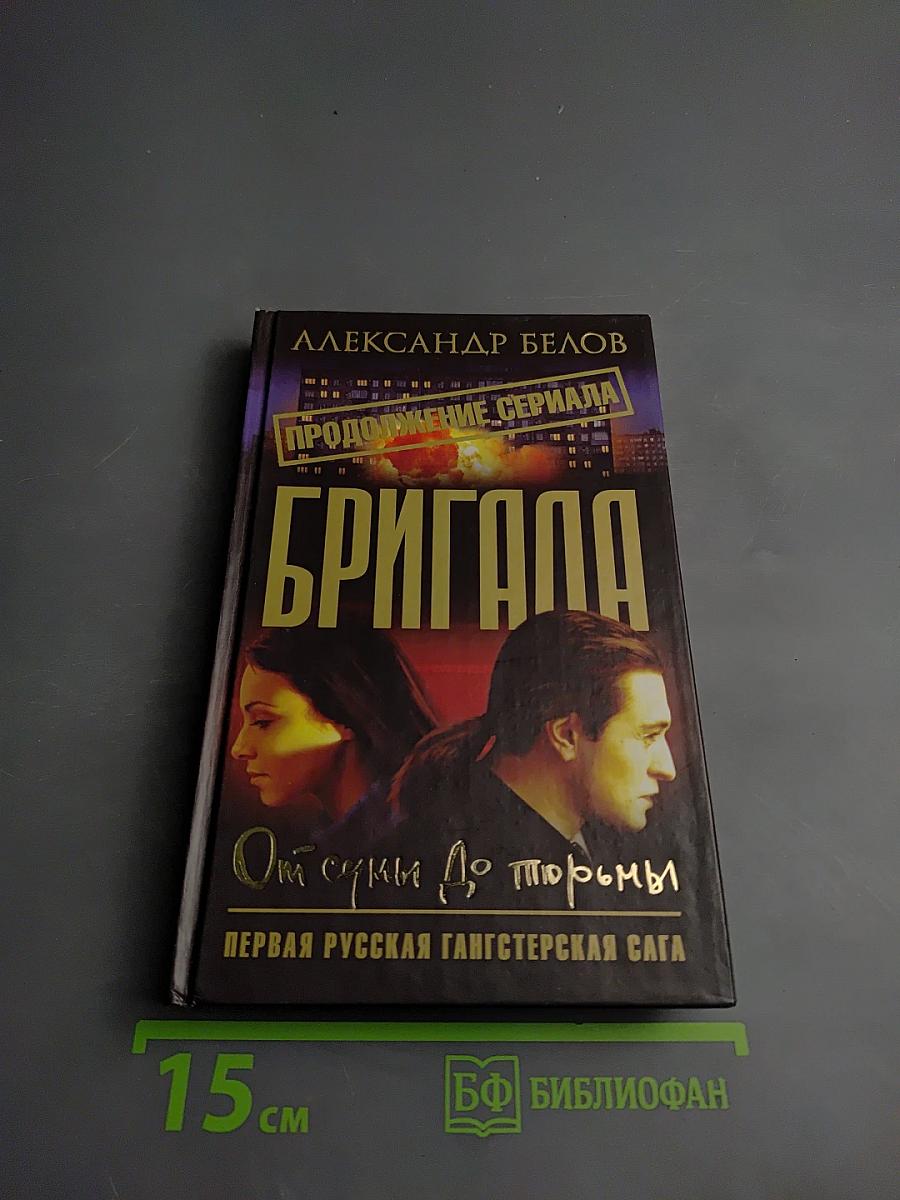 Бригада. От сумы до тюрьмы. Книга 10