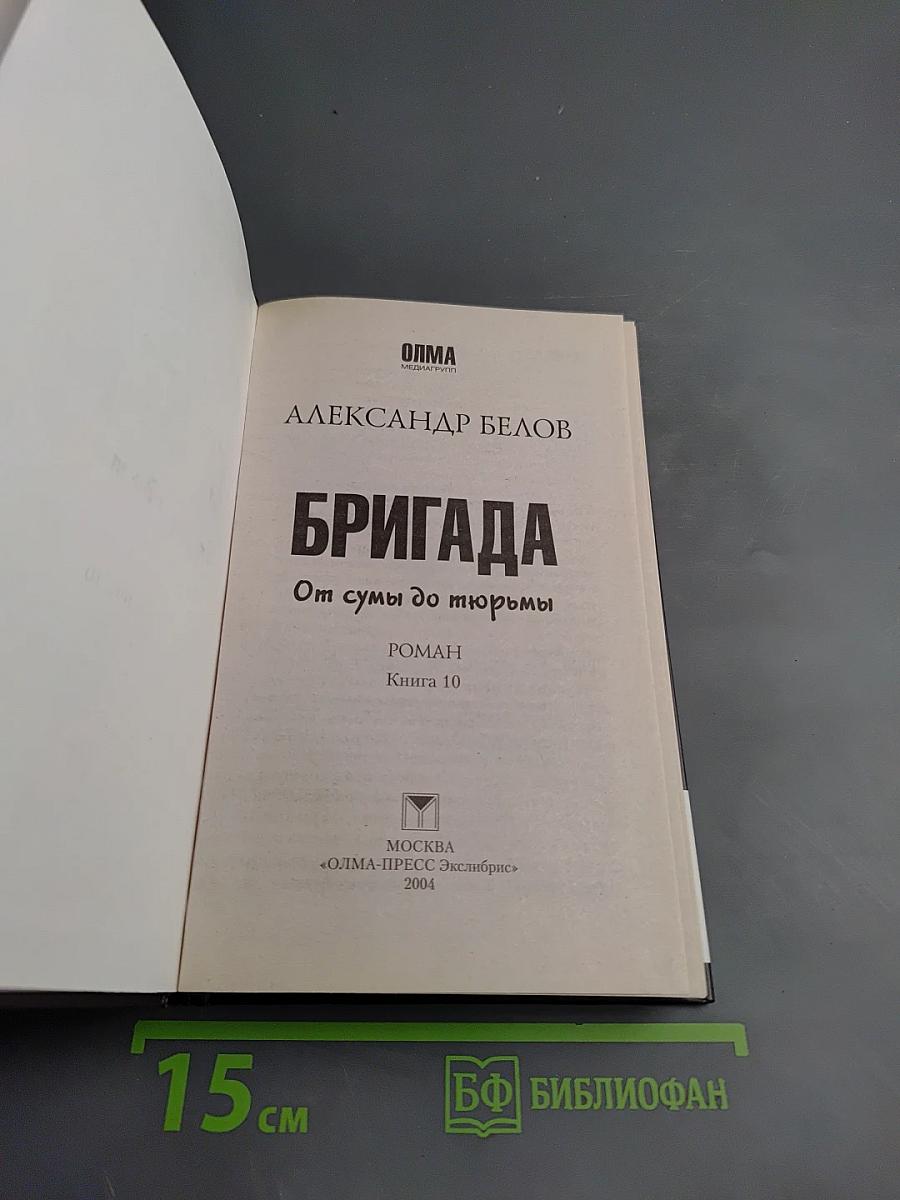 Бригада. От сумы до тюрьмы. Книга 10