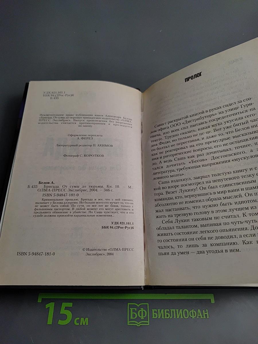 Бригада. От сумы до тюрьмы. Книга 10