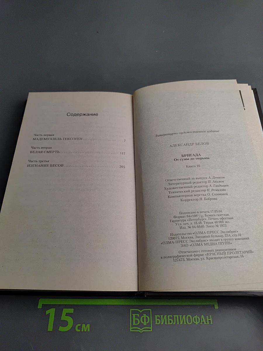 Бригада. От сумы до тюрьмы. Книга 10