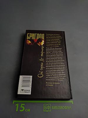Бригада. От сумы до тюрьмы. Книга 10