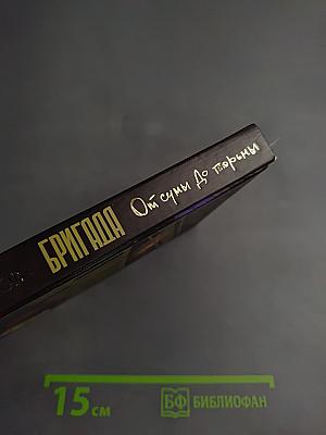 Бригада. От сумы до тюрьмы. Книга 10