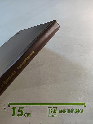 Жизнь и фильмы Бориса Барнета